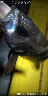 ¥¯¥ê¥¢¥á¥Ð¥ë