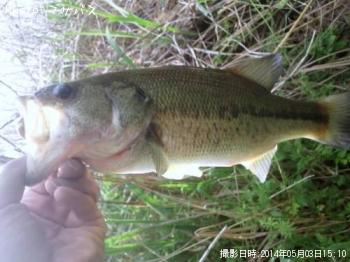 ¥Ö¥é¥Ã¥¯¥Ð¥¹