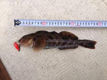 �����ʥ�