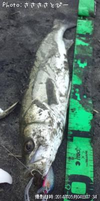 �����ե����Х�