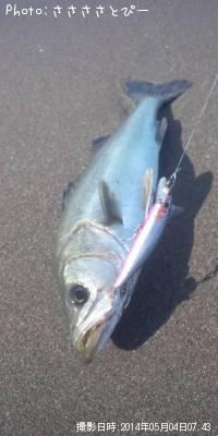 �����ե����Х�