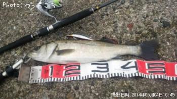 �����Х�