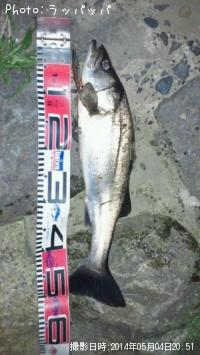 �����Х�