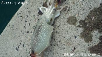 ����䥱����