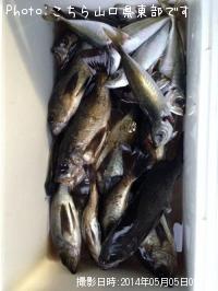 ¥á¥Ð¥ë¡¡¥¢¥¸