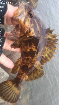 �����Υ���Х�