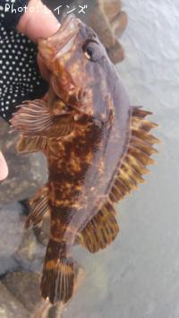 �����Υ���Х�