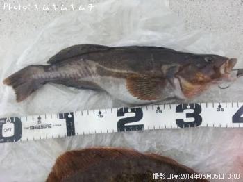 �����ʥ�