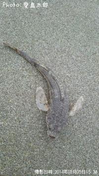 �����ե�åȡ�