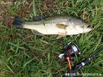 �֥�å��Х�