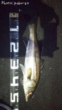 �����Х�