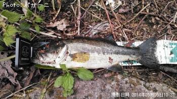 �֥�å��Х�