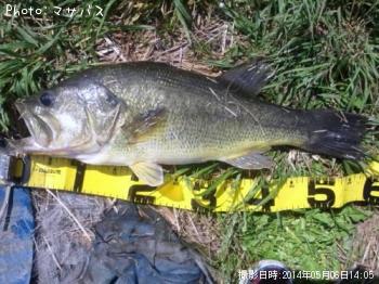 �֥�å��Х�