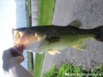 �֥�å��Х�