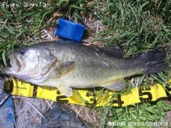 �֥�å��Х�