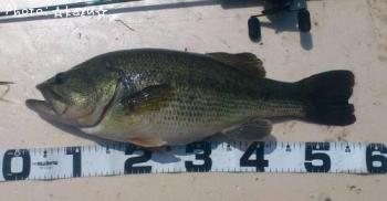 �֥�å��Х�