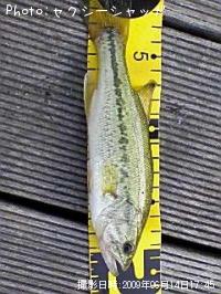 �֥�å��Х�