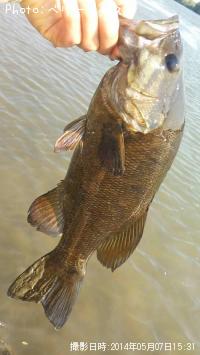 ¥¹¥â¡¼¥ë¥Þ¥¦¥¹¥Ð¥¹