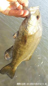 ¥¹¥â¡¼¥ë¥Þ¥¦¥¹¥Ð¥¹