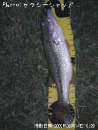 ¥Ö¥é¥Ã¥¯¥Ð¥¹