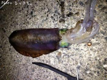 �����ꥤ��