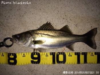 �����Х�