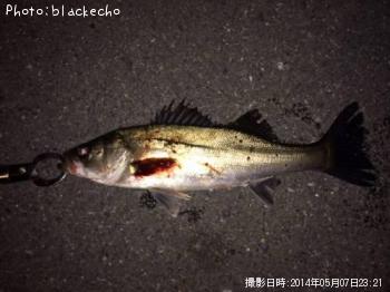 �����Х�