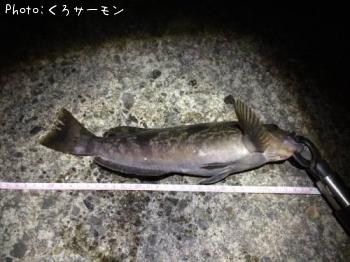 �����ʥ�