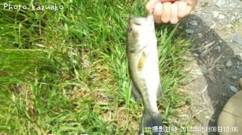 ¥Ö¥é¥Ã¥¯¥Ð¥¹