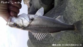 �����Х�