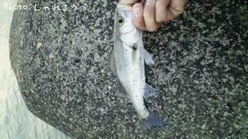 �����Х�