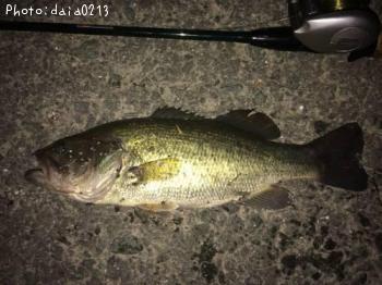 �֥�å��Х�