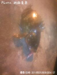 �����ϥ�