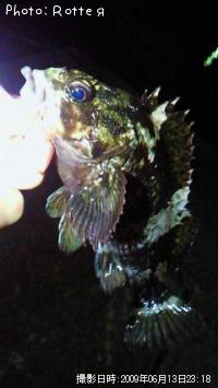 �����Υ���Х�