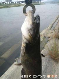 �ʥޥ����˥���