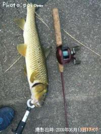 �ʥޥ����˥���