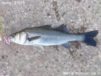 �����Х�