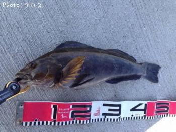 �����ʥ�