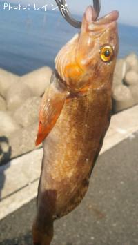 �����ʥ�