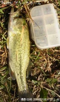 ¥Ö¥é¥Ã¥¯¥Ð¥¹