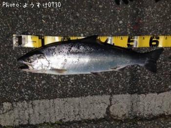 ������ޥ�