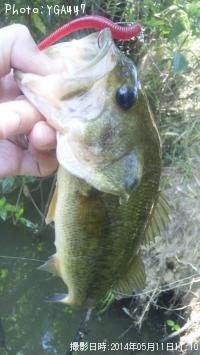 ¥Ö¥é¥Ã¥¯¥Ð¥¹