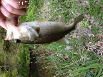 ¥Ö¥é¥Ã¥¯¥Ð¥¹