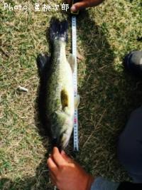 ¥Ö¥é¥Ã¥¯¥Ð¥¹