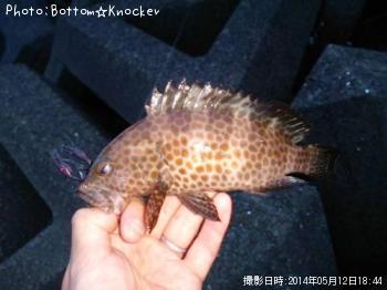 �������ϥ�