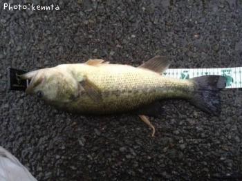 �֥�å��Х�