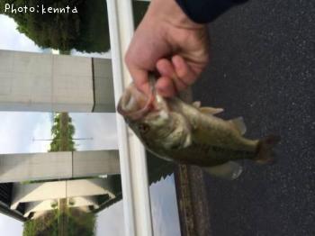 ¥Ö¥é¥Ã¥¯¥Ð¥¹