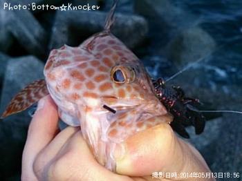 ¥ª¥ª¥â¥ó¥Ï¥¿