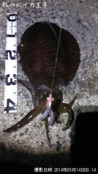 �����ꥤ��