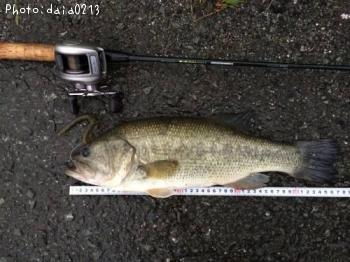 �֥�å��Х�